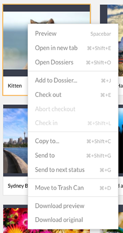 Keyboard shortcuts in the context menu