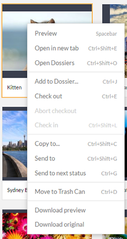 Keyboard shortcuts in the context menu