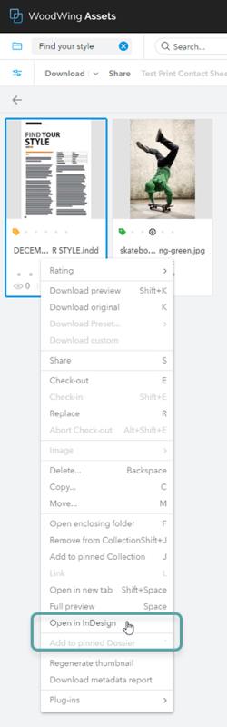 Opening a layout in Assets