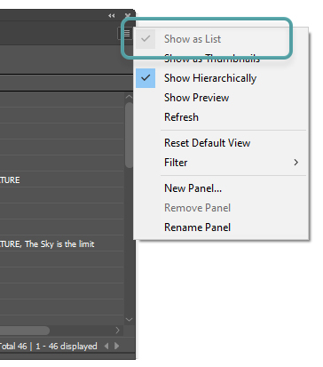 The Show as List option in the panel menu.