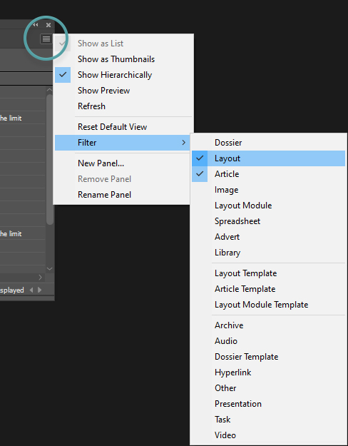 The filter in the panel menu.