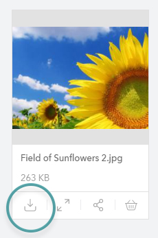 The Download icon.