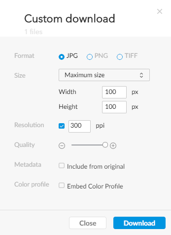 Custom options for downloading a file.