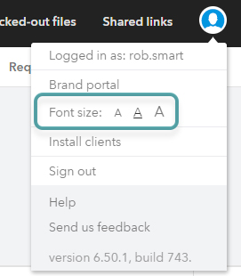 The font size options in the Avatar menu