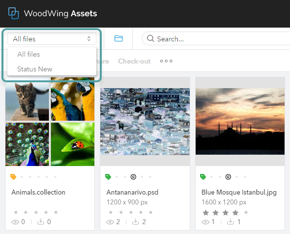 The Search Preset list in Assets 6.64 and lower