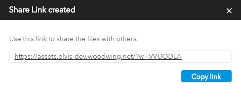 The created Share link.