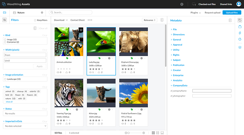Displaying a custom metadata field