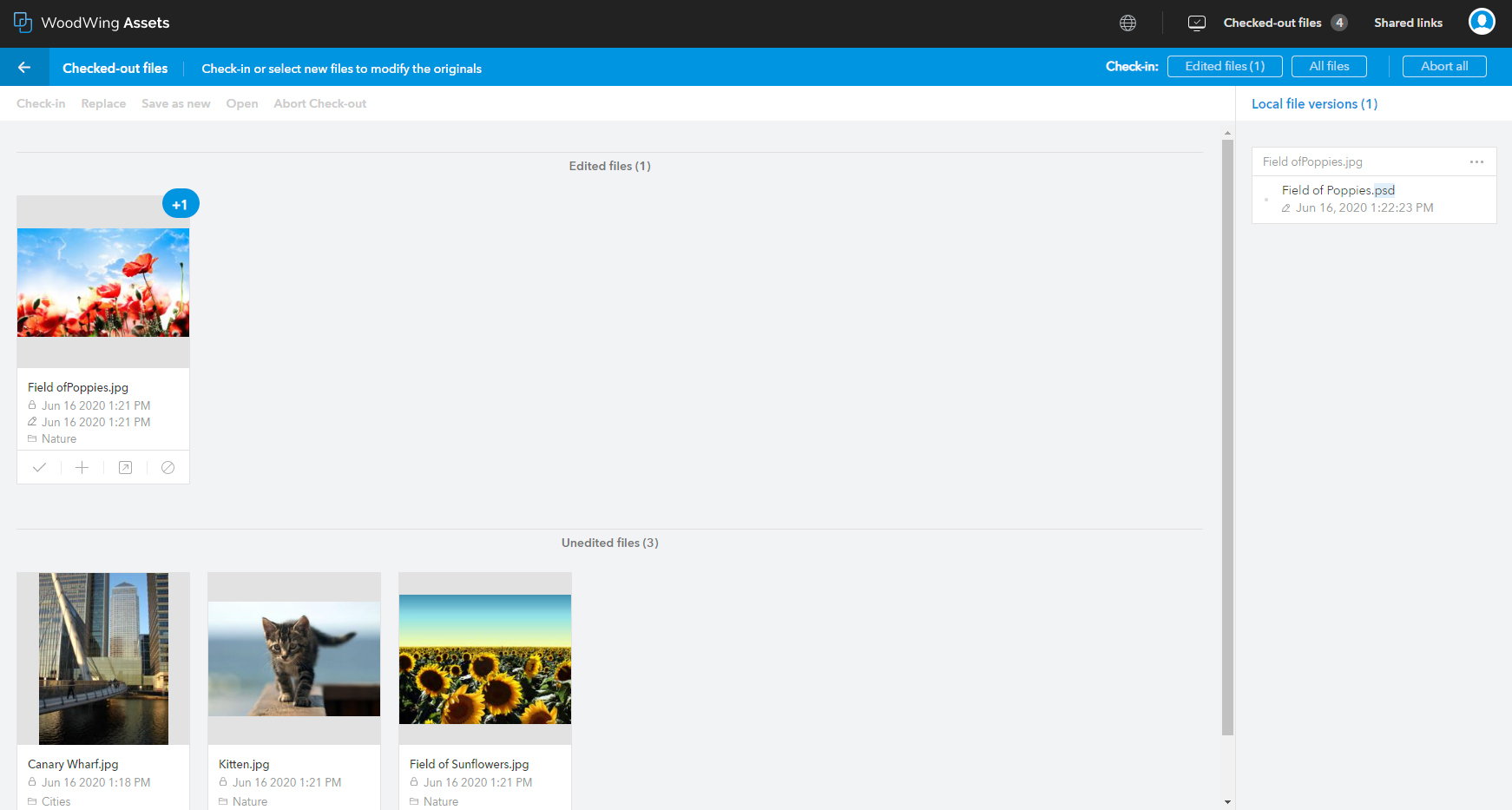The Checked-out files page