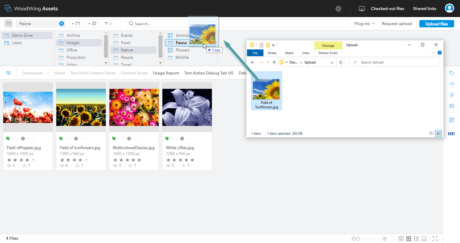 Adding an image to a folder