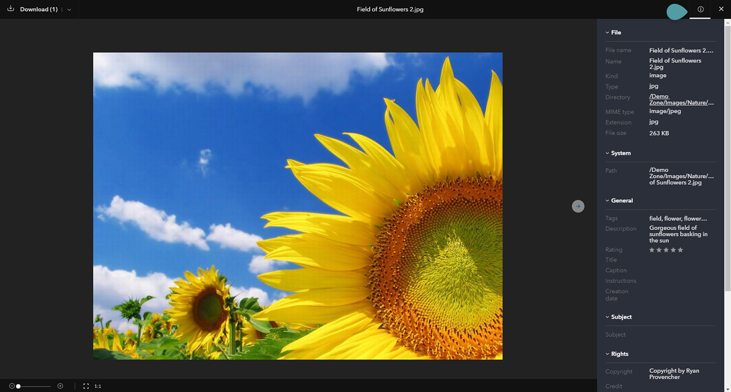 The info icon in the Preview window