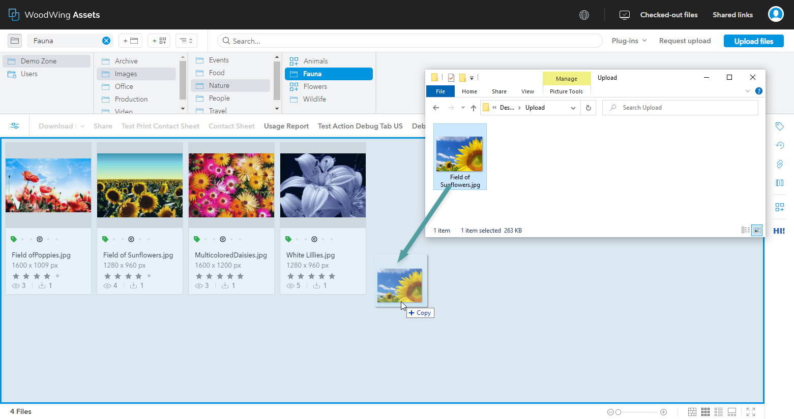 Adding an image to the Content panel