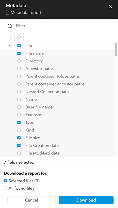 The Metadata report dialog