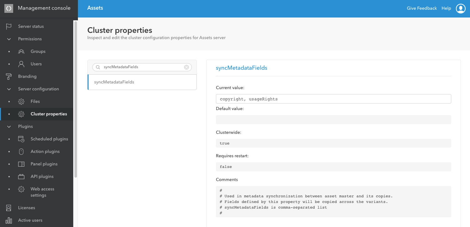 The syncMetadataFields option in the Management Console