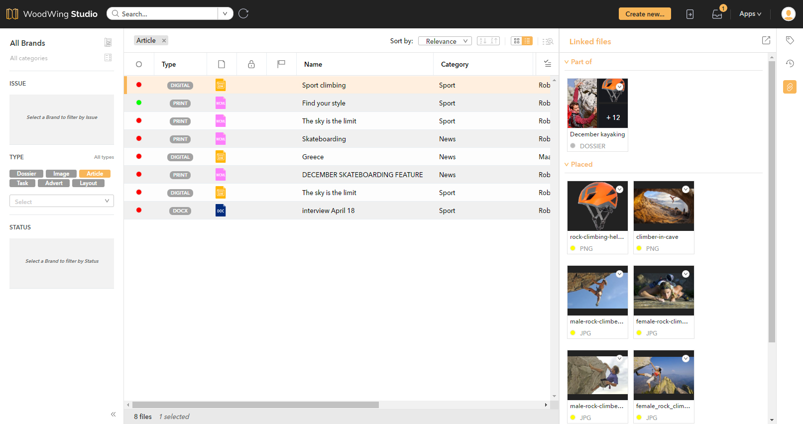 The Linked files panel