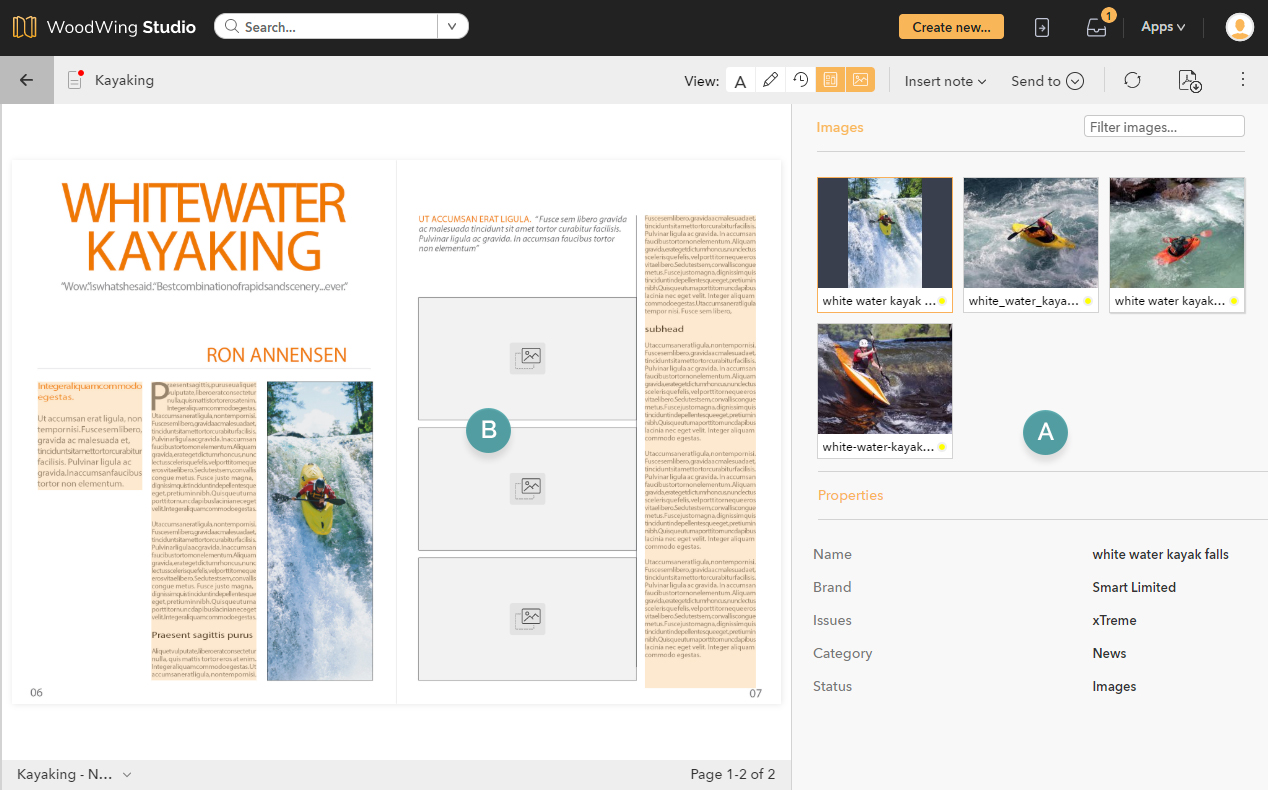The Images panel and layout view