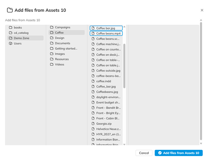 The Add files from Assets 10 dialog