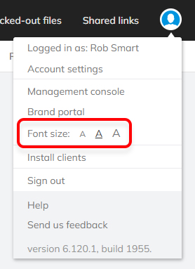 The font size options in the Avatar menu