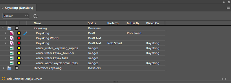 The Dossier panel showing all Dossiers of a file