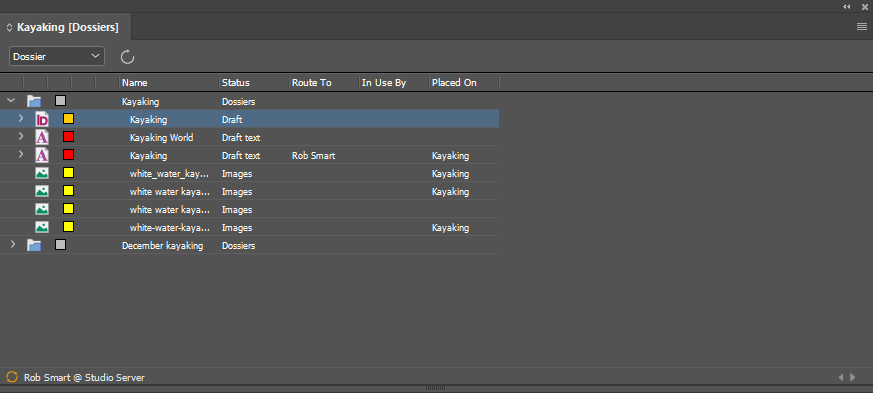 The Dossier panel of the current layout