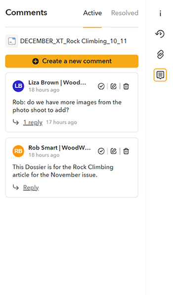 Managing comments is done in the Comments panel