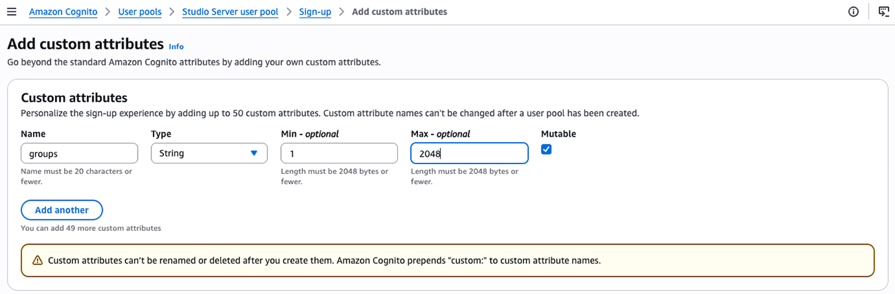 The Add custom attributes page