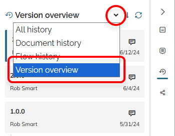 Choosing Version overview in the History panel