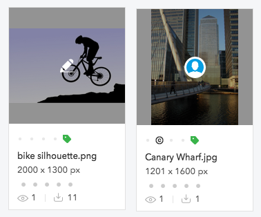 File check-out indicators