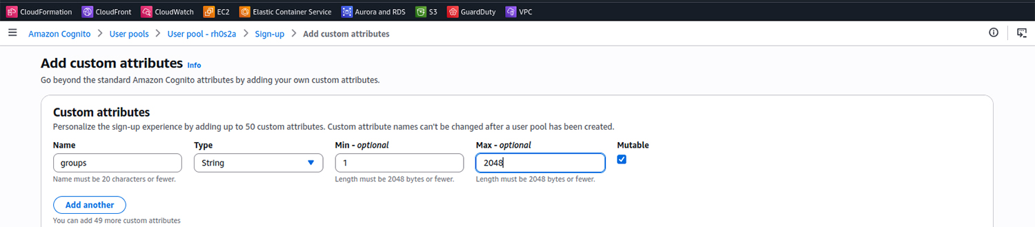 A custom attribute set up in the AWS Management Console